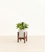 Load image into Gallery viewer, Natural Bamboo stand:walnut