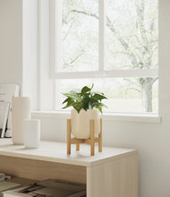 Load image into Gallery viewer, Almond Green stand:bamboo