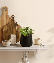 Load image into Gallery viewer, Black