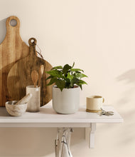 Load image into Gallery viewer, Cotton White