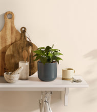 Load image into Gallery viewer, Iron Gray