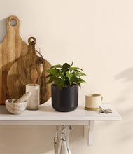 Load image into Gallery viewer, Stone Black