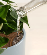 Load image into Gallery viewer, Pixie Petals stand:all