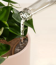 Load image into Gallery viewer, Peach Blossom stand:all