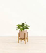 Load image into Gallery viewer, Glossy Pink stand:bamboo