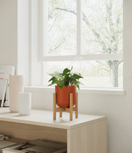Load image into Gallery viewer, Earth Red stand:bamboo
