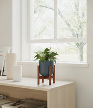 Load image into Gallery viewer, Iron Gray stand:walnut