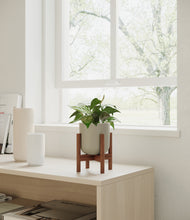Load image into Gallery viewer, Sage Green stand:walnut