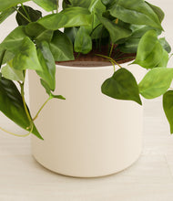 Load image into Gallery viewer, Cream stand:all