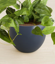 Load image into Gallery viewer, Deep Navy stand:all