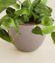 Load image into Gallery viewer, Winter Clouds stand:all