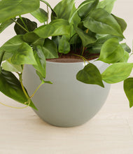 Load image into Gallery viewer, Deep Ocean stand:all