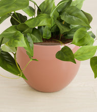 Load image into Gallery viewer, Calm Rose stand:all