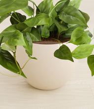 Load image into Gallery viewer, Shiny EggWhite stand:all