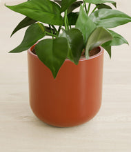 Load image into Gallery viewer, Earth Red stand:all