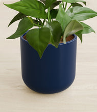 Load image into Gallery viewer, Twilight Blue stand:all