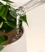 Load image into Gallery viewer, Hazy Skies stand:all