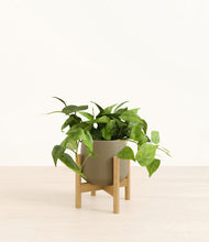 Load image into Gallery viewer, Olive stand:bamboo
