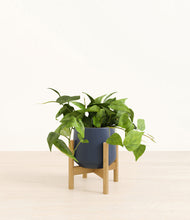 Load image into Gallery viewer, Deep Navy stand:bamboo