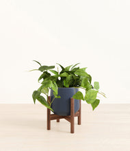 Load image into Gallery viewer, Deep Navy stand:walnut