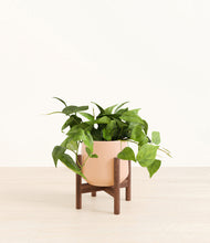 Load image into Gallery viewer, Gentle Pink stand:walnut