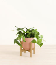 Load image into Gallery viewer, Calm Rose stand:bamboo