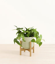 Load image into Gallery viewer, Turquoise stand:bamboo