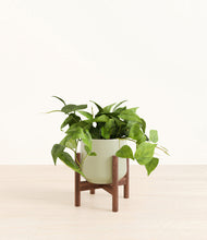 Load image into Gallery viewer, Turquoise stand:walnut