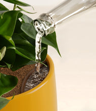 Load image into Gallery viewer, Tiger Lily stand:all