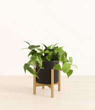 Load image into Gallery viewer, Black stand:bamboo