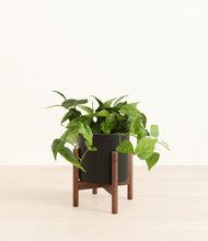 Load image into Gallery viewer, Black stand:walnut
