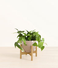 Load image into Gallery viewer, Desert Brown stand:bamboo