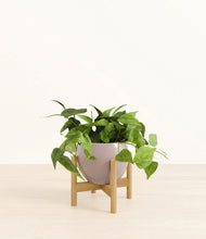 Load image into Gallery viewer, Winter Clouds stand:bamboo