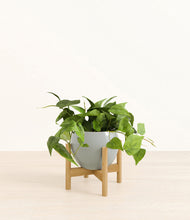 Load image into Gallery viewer, Deep Ocean stand:bamboo