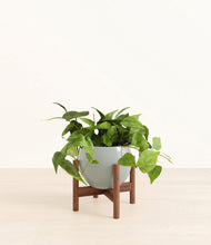 Load image into Gallery viewer, Deep Ocean stand:walnut