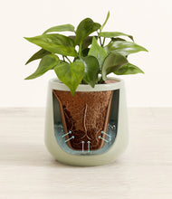 Load image into Gallery viewer, Turquoise stand:all