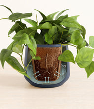 Load image into Gallery viewer, Deep Navy stand:all