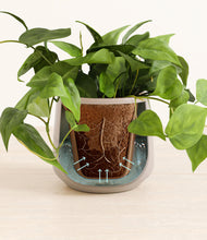 Load image into Gallery viewer, Eternal Gray stand:all