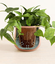 Load image into Gallery viewer, Calm Rose stand:all