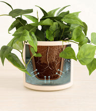 Load image into Gallery viewer, Cream stand:all