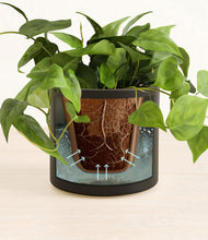 Load image into Gallery viewer, Black stand:all