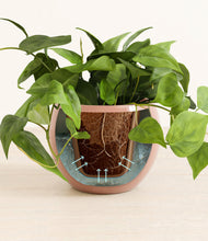 Load image into Gallery viewer, Calm Rose stand:all