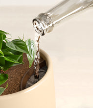 Load image into Gallery viewer, Sandy stand:all