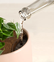 Load image into Gallery viewer, Gentle Pink stand:all