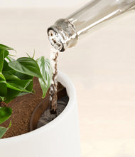 Load image into Gallery viewer, Misty Morning stand:all