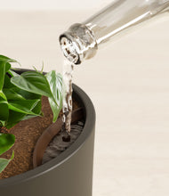 Load image into Gallery viewer, Dark Olive stand:all