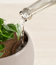 Load image into Gallery viewer, Winter Clouds stand:all