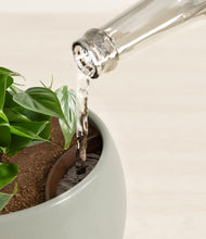 Load image into Gallery viewer, Deep Ocean stand:all