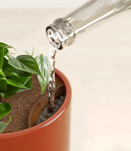 Load image into Gallery viewer, Glossy Red stand:all