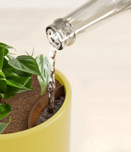 Load image into Gallery viewer, Key Lime Yellow stand:all